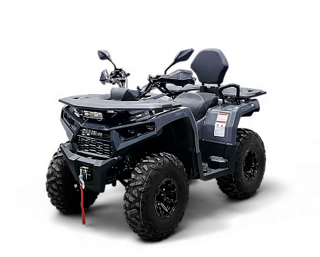 Квадрицикл Bizon (БИЗОН) YK250 LUX EFI ПТС,инжектор - серый Квадрицикл Bizon (БИЗОН) YK250 LUX EFI ПТС,инжектор - серый