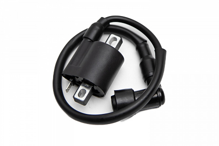 Катушка зажигания Progasi (Прогаси) Smart Max 150 Катушка зажигания Progasi (Прогаси) Smart Max 150